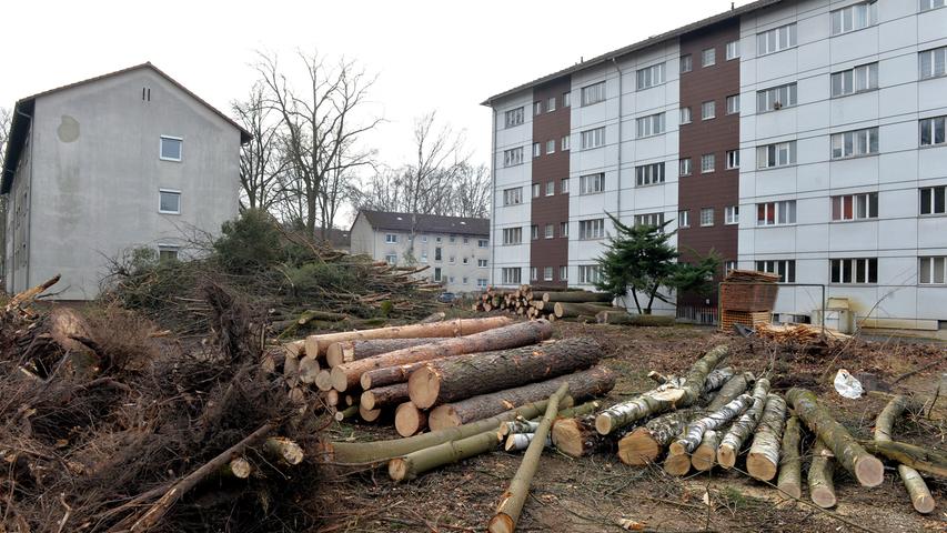 Zwischen den Häusern wurden nahezu alle Bäume gefällt, damit dann neue quadratische Wohnblocks hochgezogen werden können, wie derzeit schon östlich der Wehneltstraße zu beobachten. Massive Baumfällungen sind auch im Gange von der Hans-Geiger-Straße bis hin zur Nürnberger Straße.