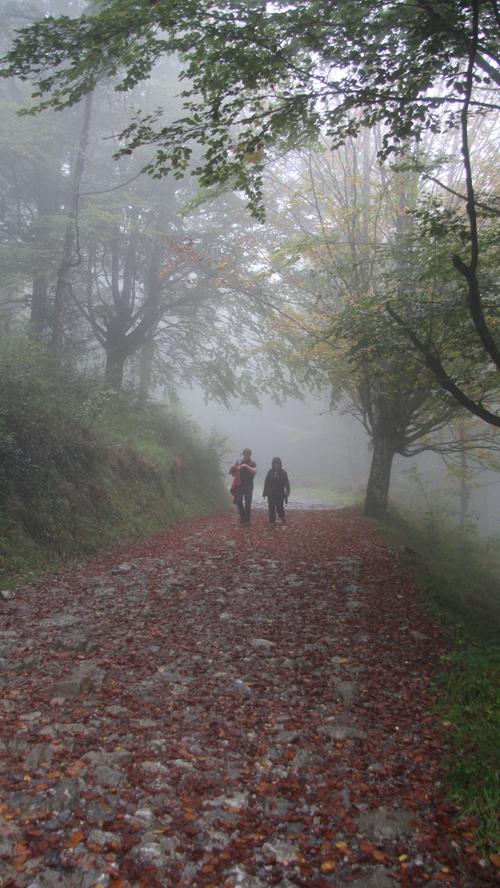 Die Basken sagen dazu Xirimiri. Wir nennen es feinen Nebel, Nieselregen.