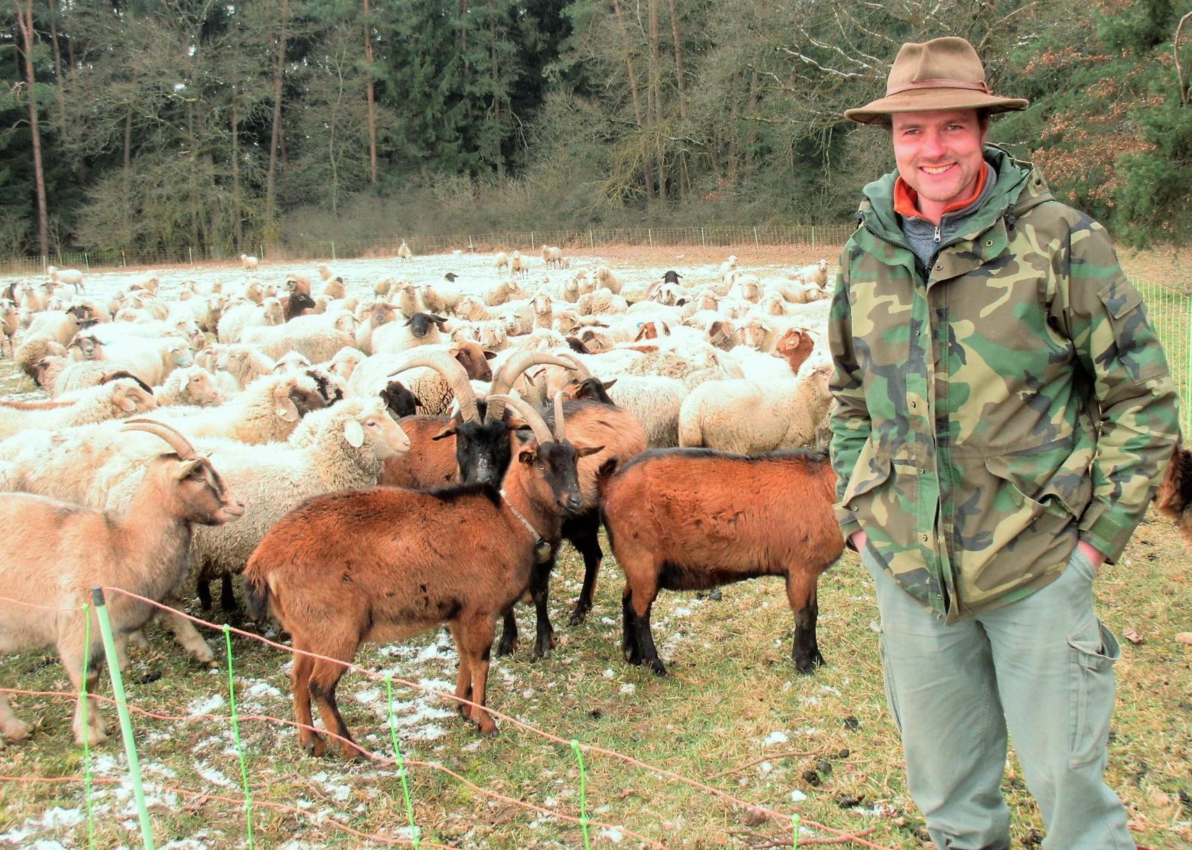 Mit Einer Schafherde Um Auerbach Unterwegs Auerbach Nordbayern De