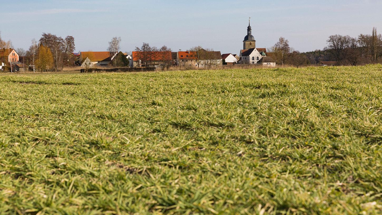 Sonne und Frost trocknen Pflanzen aus