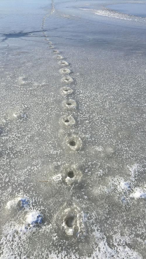 "Deine Spuren im Sand" war tatsächlich gestern, heute finden wir sie auf dem Altmühlsee im Eis.