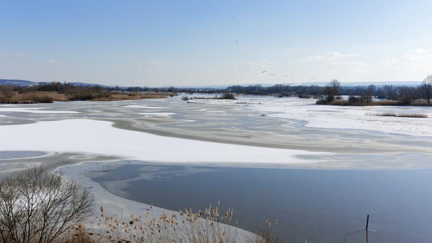 Tolle Eisbilder zeichnet die sibirische Kälte auf der Vogelinsel bei Muhr am See in den Altmühlsee.