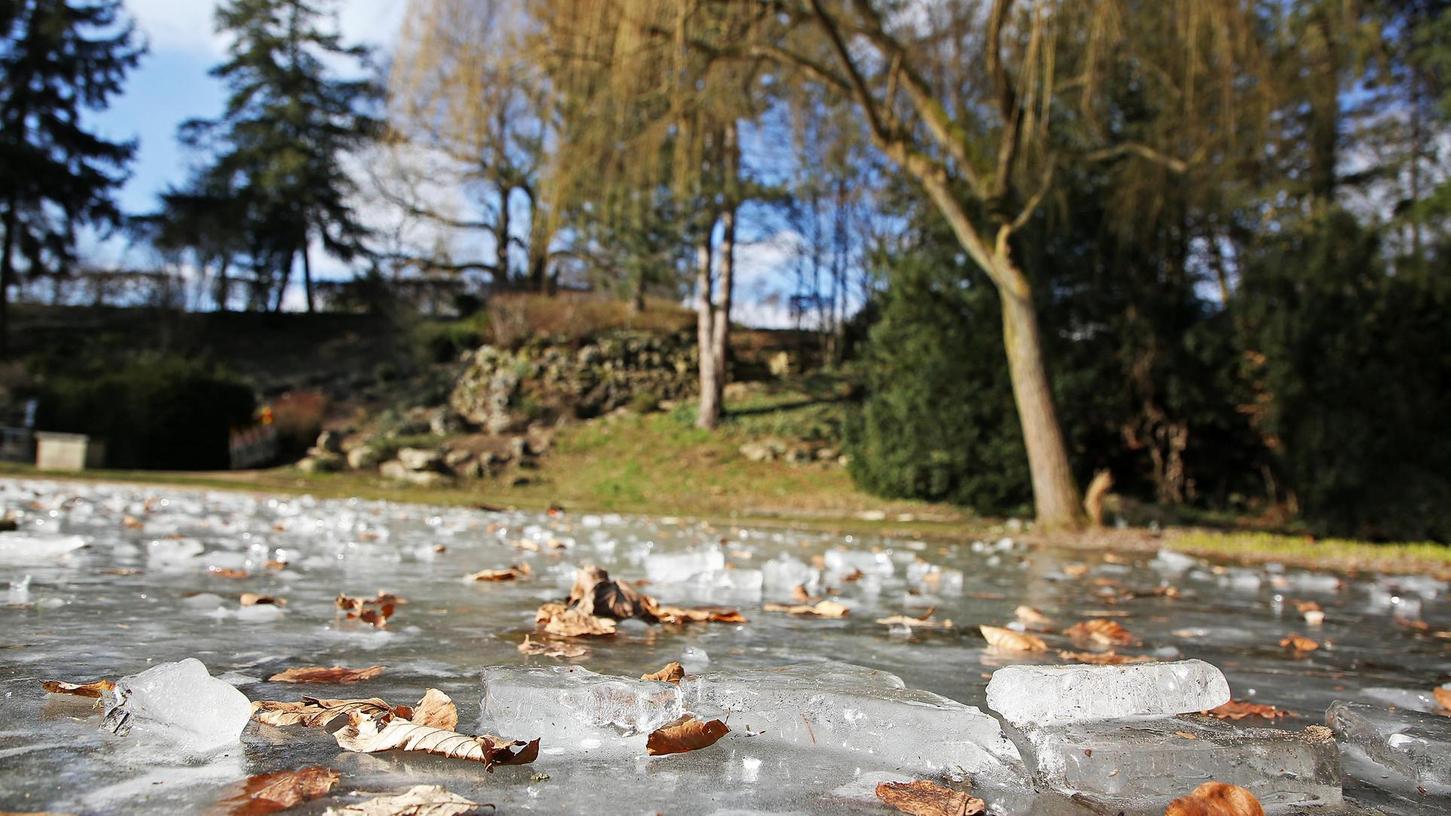 Klirrende Kälte in Forchheim: Das Eis schmeckt dennoch