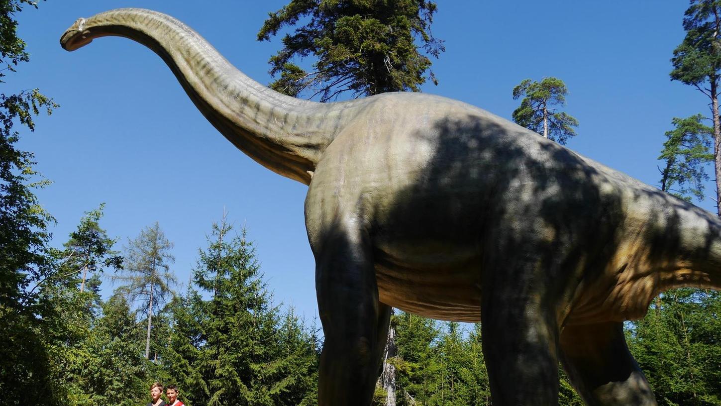 Spannende Begegnungen: Auf dem Rundweg des Freilichtmuseums in Denkendorf stoßen die Besucher unter anderem auf die Nachbildung eines Brachiosaurus.