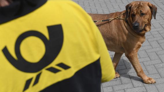 Hund beißt Postzusteller Anzeige wegen Körperverletzung Region