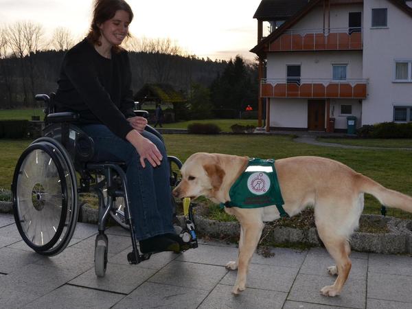 Durch die Labradorhündin hat die 37-Jährige, die an Multipler Sklerose erkrankt und auf den Rollstuhl angewiesen ist, wieder ein großes Maß an Selbstständigkeit gewonnen.