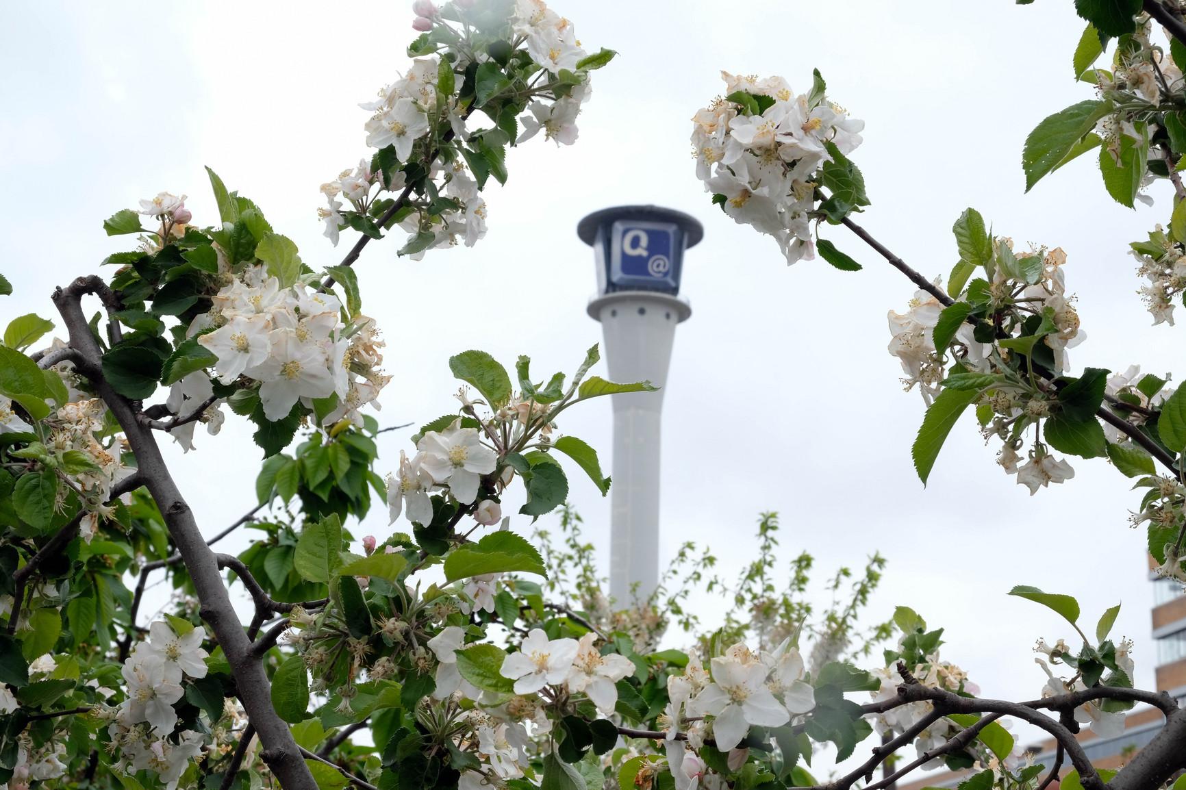 Wenn der Frühling kommt, merken wir dies unter anderem über unsere Nase! Im Frühling werden mit den milderen Temperaturen Duftmoleküle freigesetzt - das wirkt sich positiv auf unsere Psyche aus. Da es sich dabei um keinen allgemein feststehenden Duft handelt, verbindet jeder andere Duftnuancen mit dem Frühlingsbeginn.