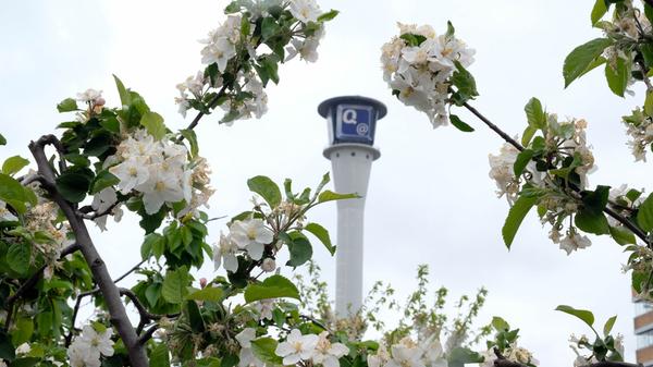 Wenn der Frühling kommt, merken wir dies unter anderem über unsere Nase! Im Frühling werden mit den milderen Temperaturen Duftmoleküle freigesetzt - das wirkt sich positiv auf unsere Psyche aus. Da es sich dabei um keinen allgemein feststehenden Duft handelt, verbindet jeder andere Duftnuancen mit dem Frühlingsbeginn.