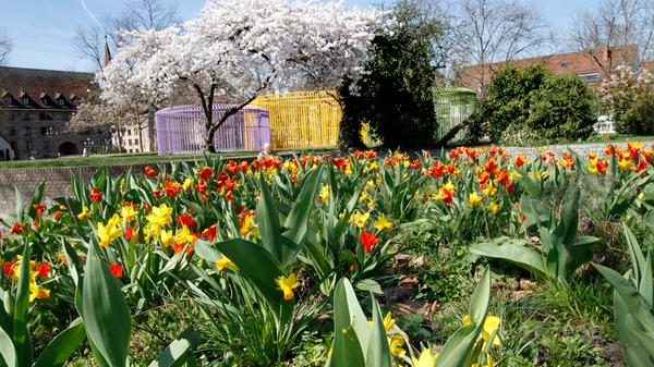 Durch die vielen bunten Farben, die der Frühling jedes Jahr in Form von Blumen und der sprießenden Natur mit sich bringt, verbessert sich nach dem farblich tristen Winter auch wieder unsere Laune. Psychologen sind schon lange überzeugt, dass bunte Farben unsere Psyche nachweislich beeinflussen können und so fähig sind, unsere Stimmung zu heben.