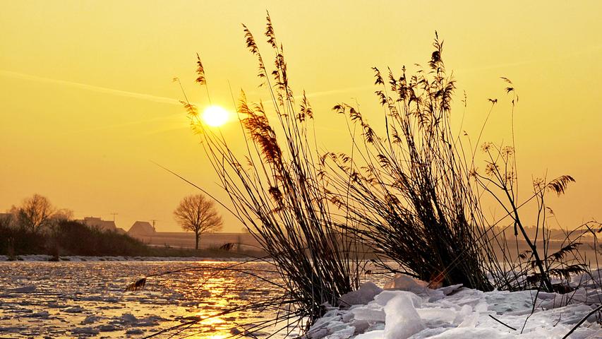 Winterfotos: Auch die kalte Jahreszeit kann entzücken