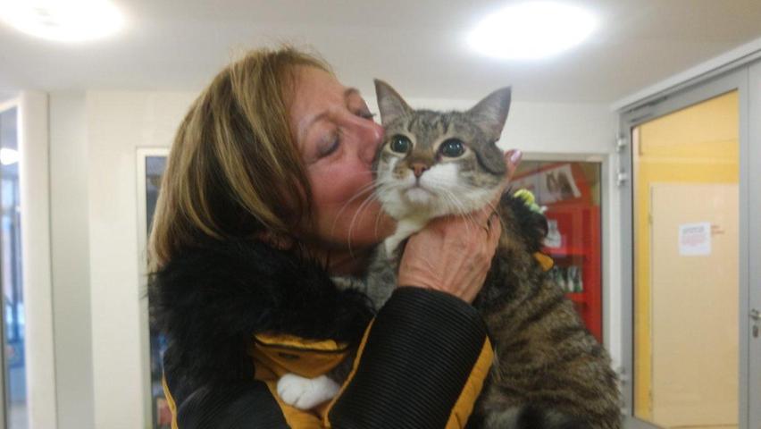 neun jahre vermisst kater momo sorgt fur happy end schwaig nurnberg nordbayern de