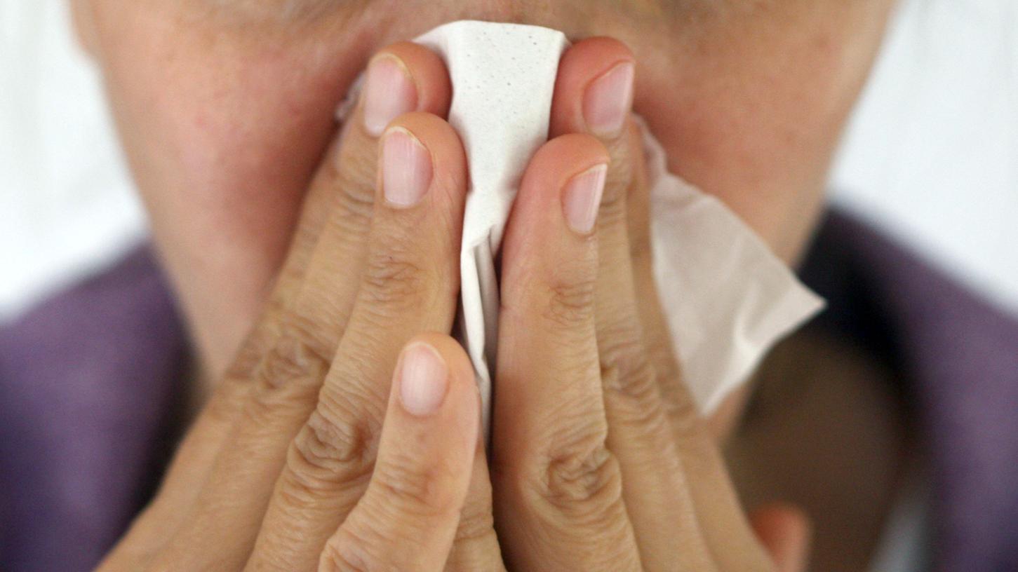 Pollensaison: Erlanger Behörde bietet Service für Allergiker