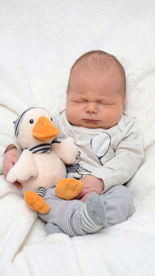 Der kleine Vincent und seine Kuschel-Ente sind seit dem 3. März unzertrennlich. Mit einer Körpergröße von 54 Zentimetern kam er in der Klinik an der Hallerwiese zur Welt.