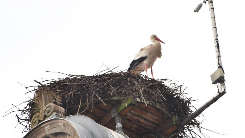 Noch ist das Nest von Anna und Gerome nicht geputzt.