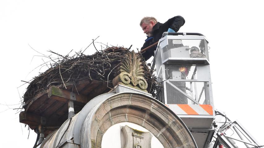 Das Nest auf dem alten Rathaus ist erreicht.
