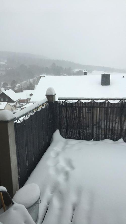 Winter feiert Comeback in Altmühlfranken