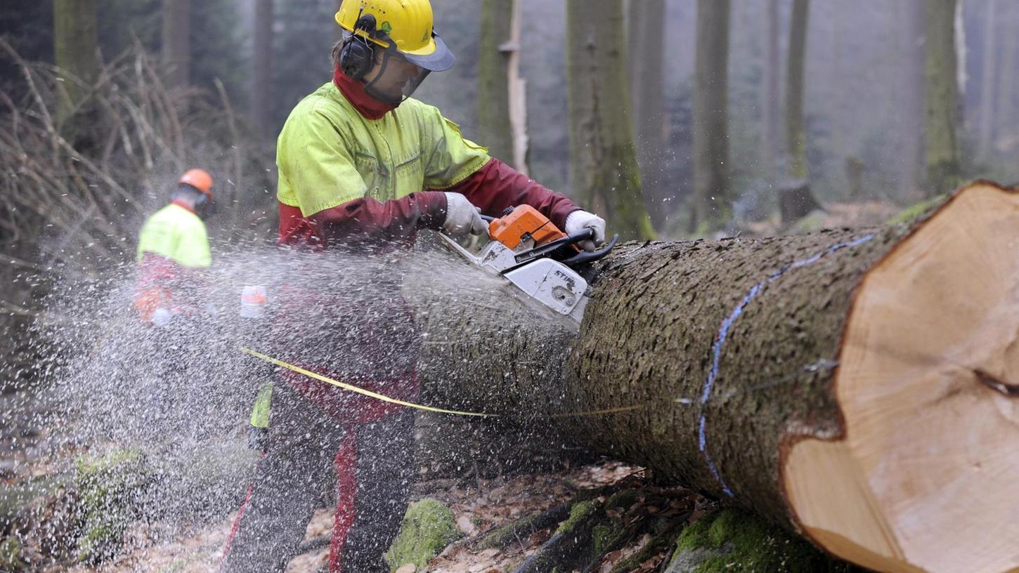 Viele Waldbesitzer können nicht mehr selbst mit der Motorsäge umgehen und vernachlässigen ihren Wald. Forstbetriebsgemeinschaften bieten ihnen an, diese Arbeit über Waldpflegeverträge künftig zu übernehmen.