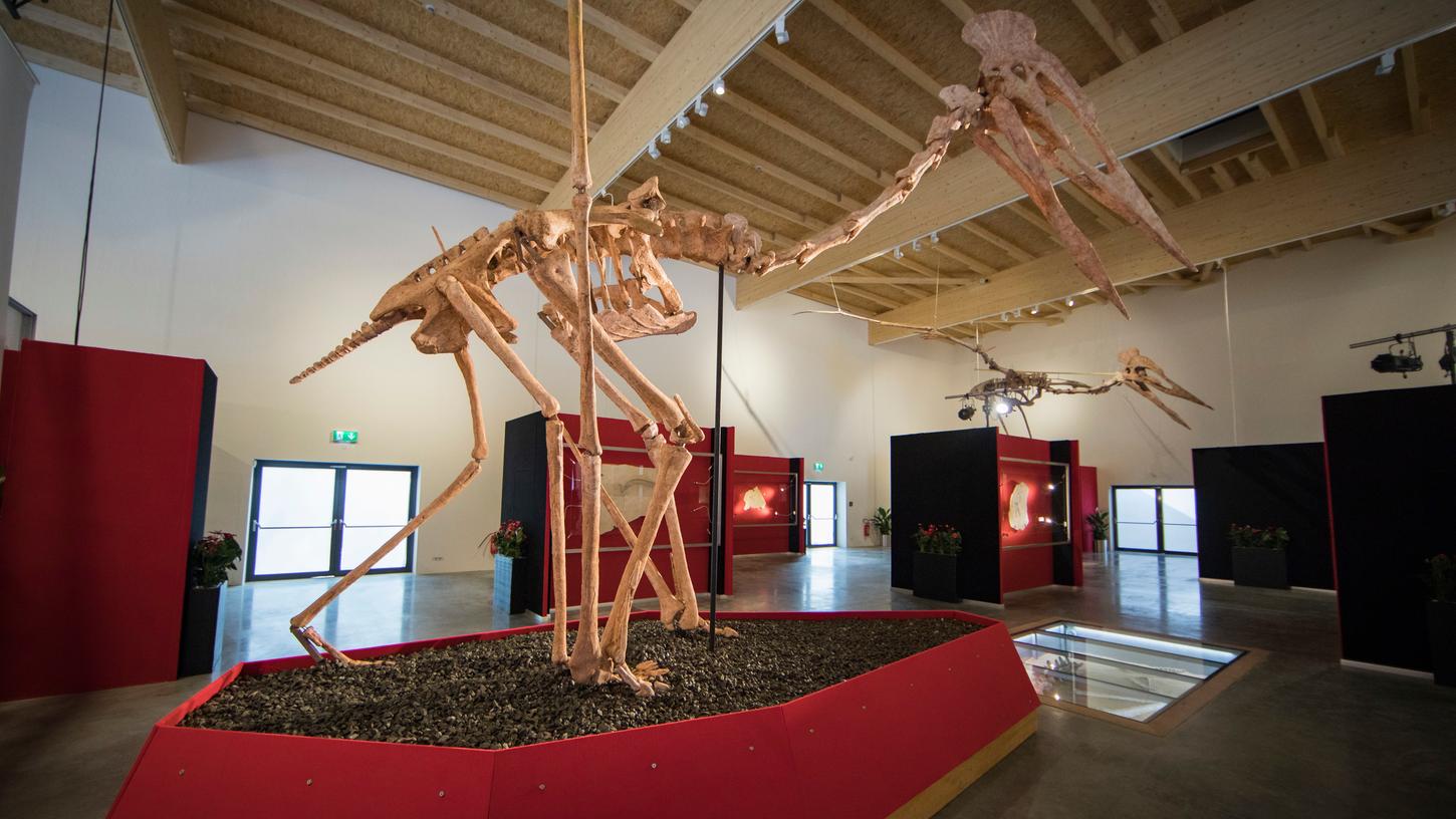 Ein Modell des wahrscheinlich größten Riesenflugsauriers steht im Dinosaurier Museum Altmühltal in Denkendorf.