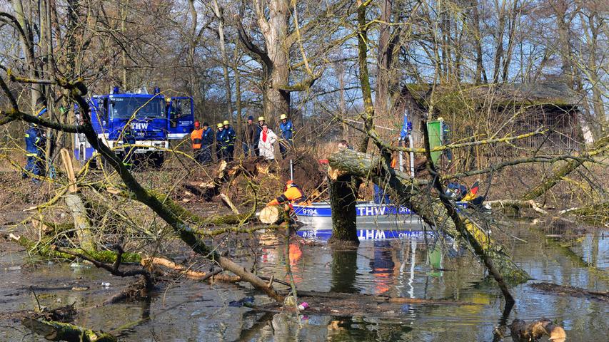 Schadensbeseitigung: THW holt umgestürzte Bäume aus Regnitz