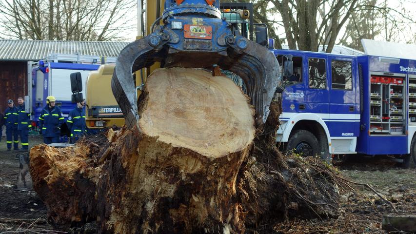 Schadensbeseitigung: THW holt umgestürzte Bäume aus Regnitz