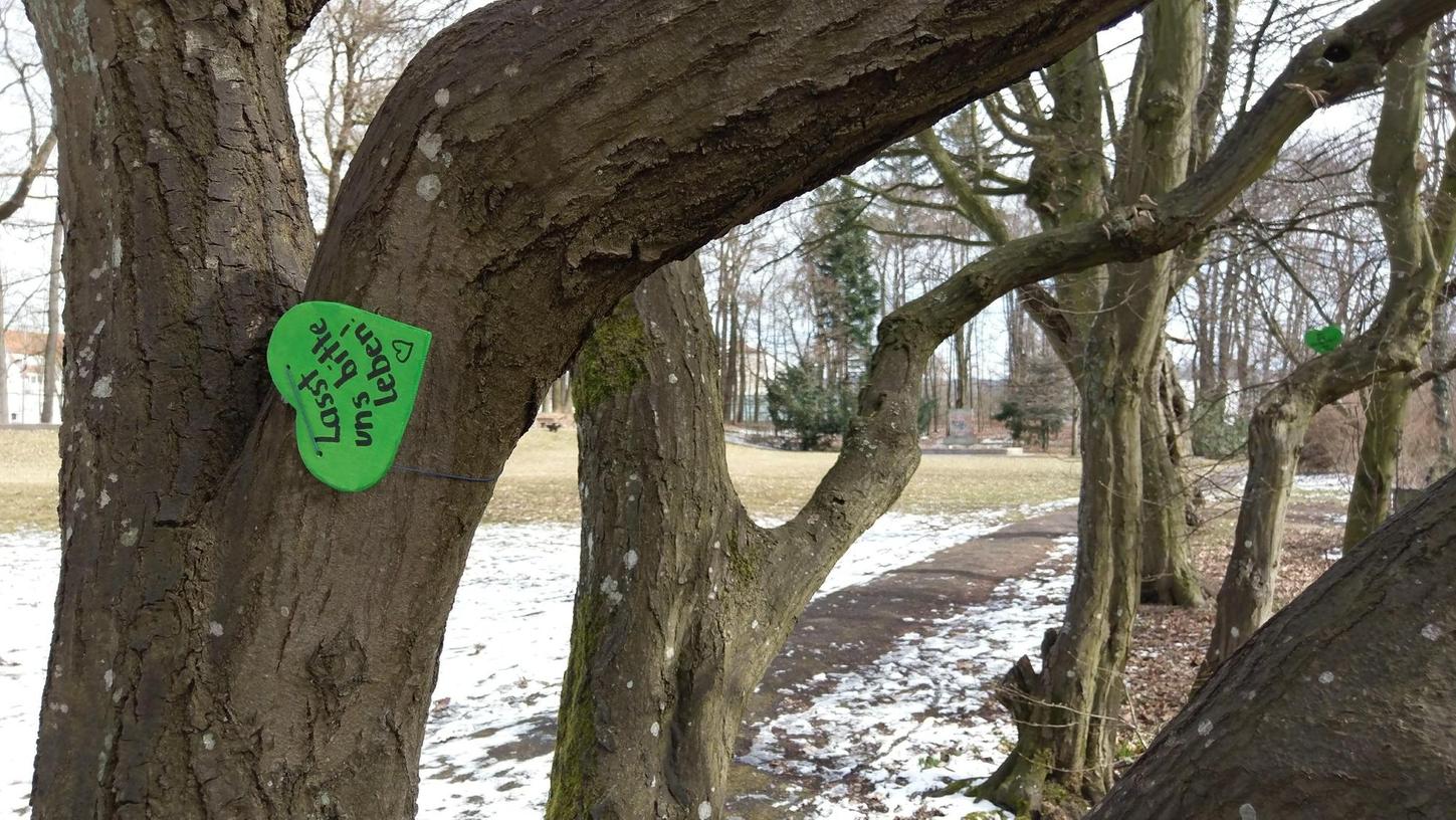 Stiller Protest mit grünen Herzen im Stadtpark