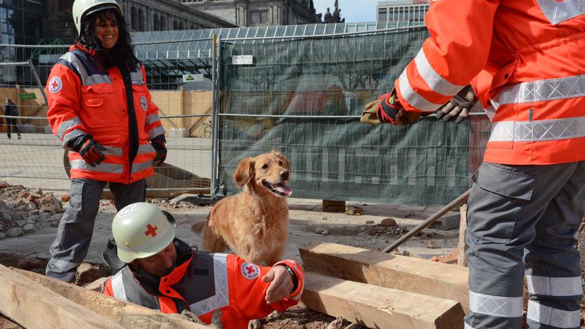Bilder: Trümmerhunde proben in der alten Hauptpost den Ernstfall