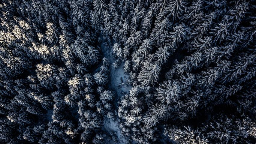 Bäume in einem Winterwunderland, Skilangläufer, die wie bunte Farbkleckse auf einer weißen Fläche wirken — die Drohne zeigt die Welt von oben.
