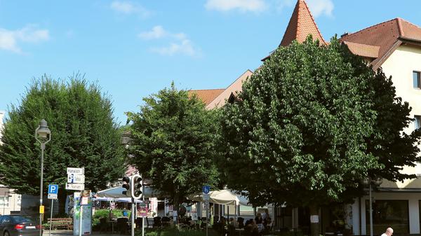 Das Wallmüllerplatz ist heute Treuchtlingens Zentrum - und sein Gesicht immer wieder Gegenstand von Diskussionen. Das ist aber noch gar nicht so lange der Fall - erst 1972 wurde aus einem belebten, eng bebauten Stadtquartier die heutige Freifläche. Unsere Galerie zeigt die Archivaufnahmen des Treuchtlinger Kuriers aus den vergangenen rund 100 Jahren in (einigermaßen) chronologischer Reihenfolge.