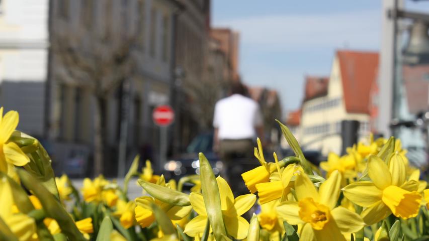 Das leuchtende Gelb der Narzissen in den Blumentrögen auf dem Gunzenhäuser Marktplatz macht richtig Lust auf mehr Sonne, Wärme und Frühling.