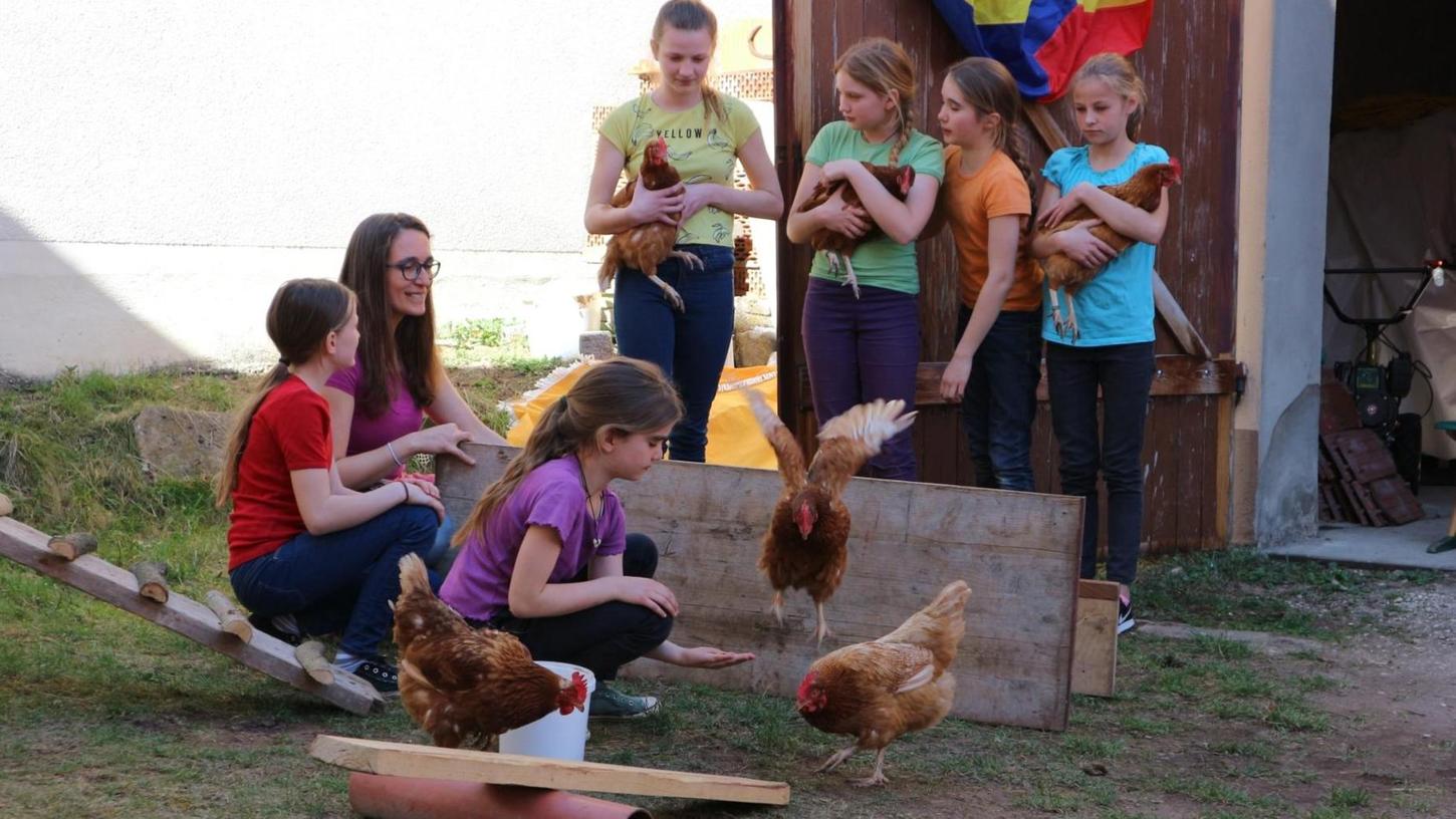 Damit sie nicht im Kochtopf landen, rettete eine Gruppe Mädchen die fünf Hühner und brachte ihnen Kunststücke bei.