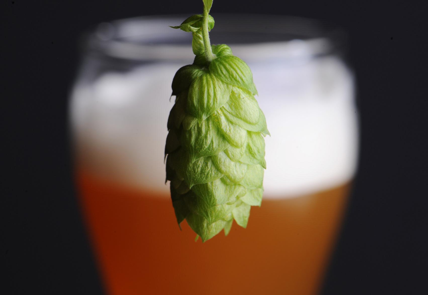 1516 wurde bekanntermaßen das Bayerische Reinheitsgebot in Ingolstadt erlassen. Was in der hiesigen wie überregionalen Öffentlichkeit aber wenig Beachtung findet: In Nürnberg hat es ein solches Gebot mindestens 46 Jahre früher gegeben, wie der ehemalige Brauer Joch Sprotte in akribischer Kleinarbeit dokumentiert hat. 