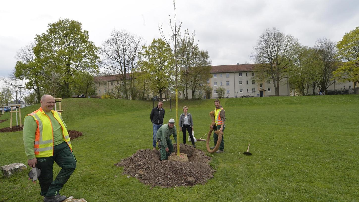 Bäume sind für die Stadt Erlangen eine 