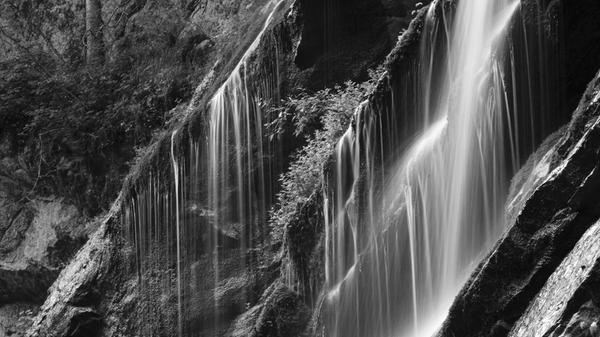 Urwälder mitten in Deutschland? Norbert Rosing, einer der bekanntesten Naturfotografen, hat sich mit seiner Kamera auf die Suche gemacht. Was er gefunden und wie er sein "wildes Deutschland" in Szene gesetzt hat, ist in der Leica Galerie in der Oberen Wörthstraße 8 von 19 Uhr bis Mitternacht zu besichtigen.