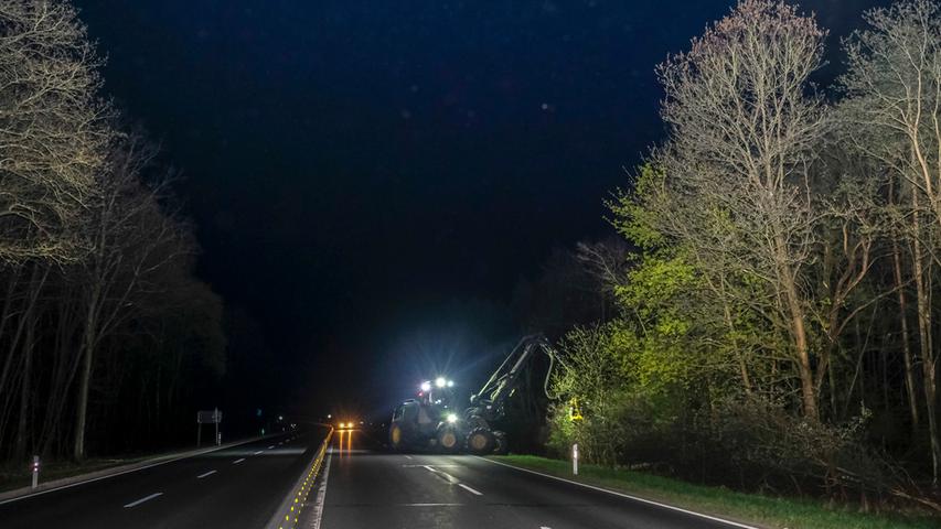 Nachtaktion: Über 1000 Bäume entlang der Regensburger Straße gefällt