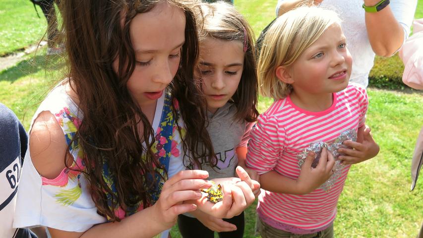 Treuchtlinger Grundschüler pflegen Gelbbauchunken