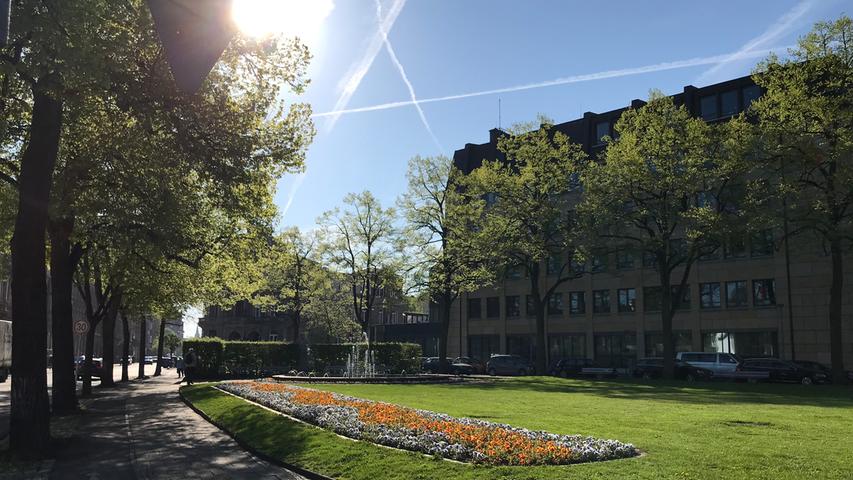 Hallo Frühling! Bamberg startet in die schönste Zeit des Jahres 