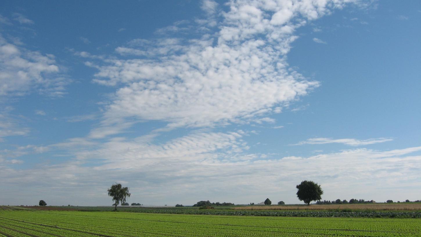 Der Knoblauchsländer Bauernverband hat einen neuen Vorsitzenden. Der Knoblauchsländer Bauernverband hat einen neuen Vorsitzenden.