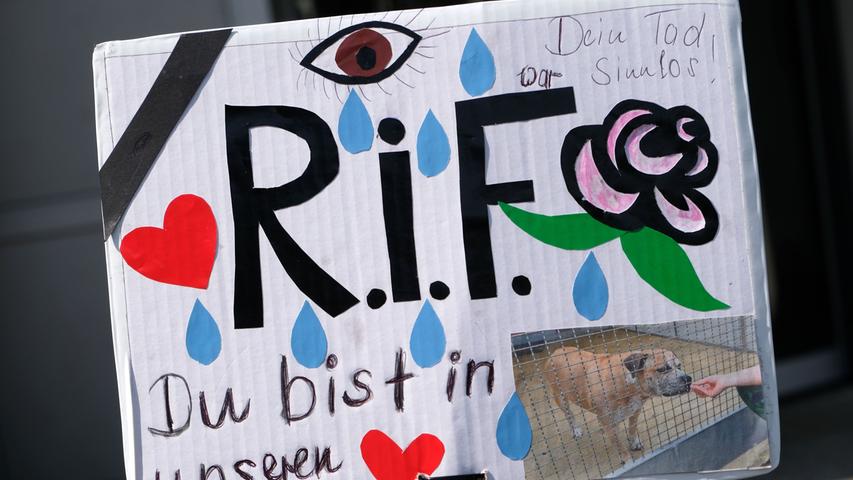 "Für Chico kämpfen wir": Mahnwache für getöteten Hund in Hannover
