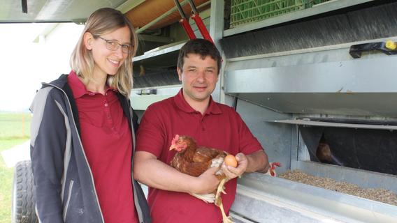 Artgerechte Haltung im mobilen Hühnerstall in Dittenheim