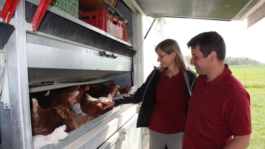 Mit den mobilen Hühnerställen haben Kartin und Martin Lastinger den für sie richtigen Weg in die Legehennenhaltung gefunden. Auf ihren Wiesen bieten sie 946 Hühnern ein artgerechtes Leben.