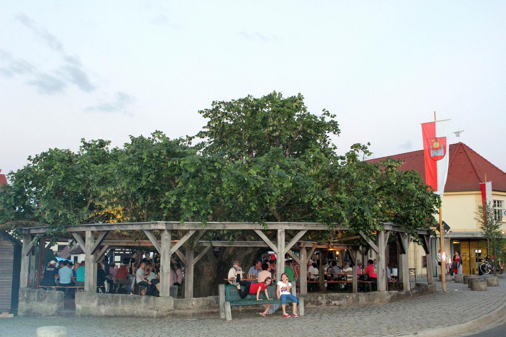 Die Tanzlinde in Effeltrich diente jahrhundertelang als zentraler Versammlungs- und Gerichtsort, im 19. und 20. Jahrhundert auch als Fest- und Tanzplatz. Auffällig an ihr ist die flach gestaltete Krone - sie geht auf die Bastgewinnung für die Obstbaumzucht zurück. Die Linde gilt als eine der schönsten in der fränkischen Region.