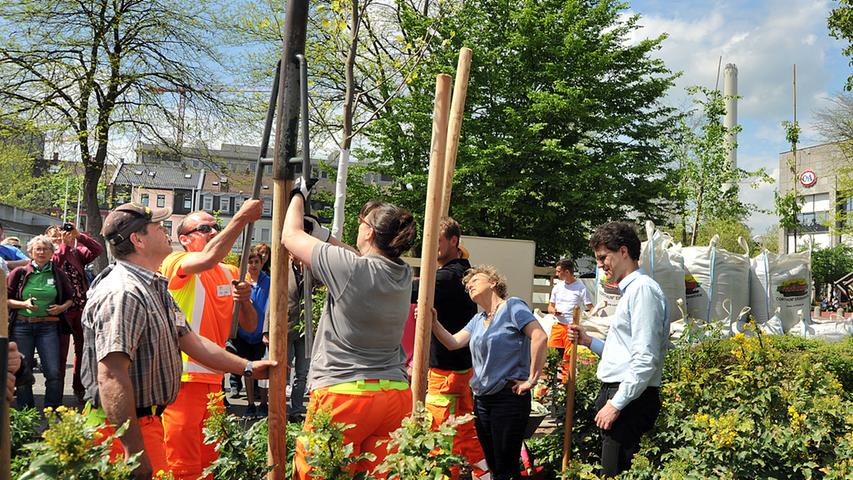 Trendwende in Erlangen: Baumpflanzung mit Blick auf die Zukunft