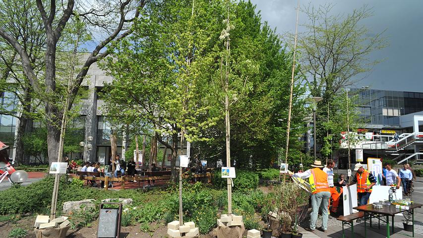 Trendwende in Erlangen: Baumpflanzung mit Blick auf die Zukunft