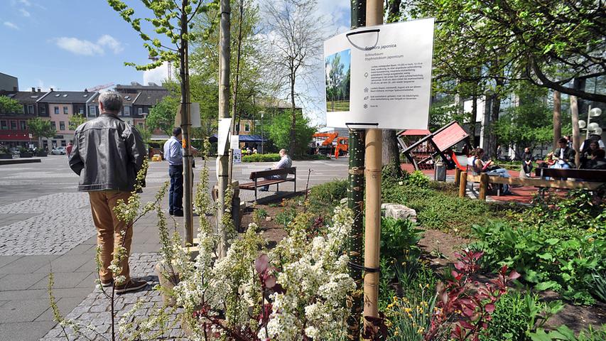 Trendwende in Erlangen: Baumpflanzung mit Blick auf die Zukunft