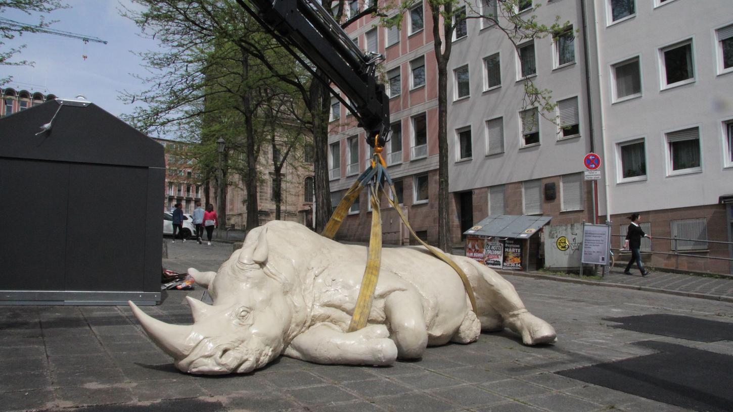 Das Nashorn dürfte den Nürnbergern bekannt vorkommen. 2016 lag es schon auf dem Hans-Sachs-Platz. Das Nashorn dürfte den Nürnbergern bekannt vorkommen. 2016 lag es schon auf dem Hans-Sachs-Platz.