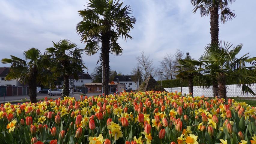 Frühlingsfotos aus Schwabach und Umgebung