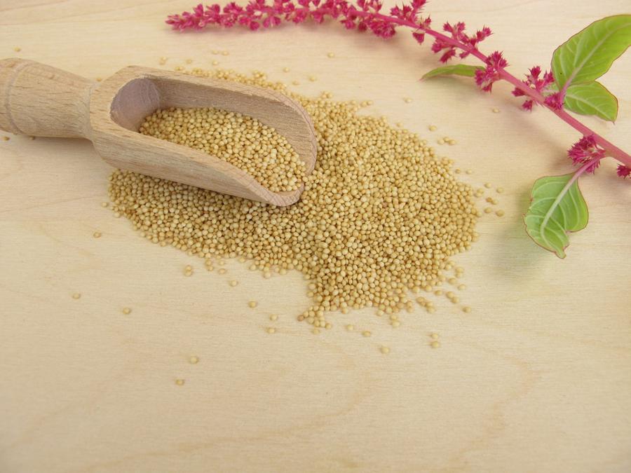 Download Unwissen englisch For Free Unwissen Englisch