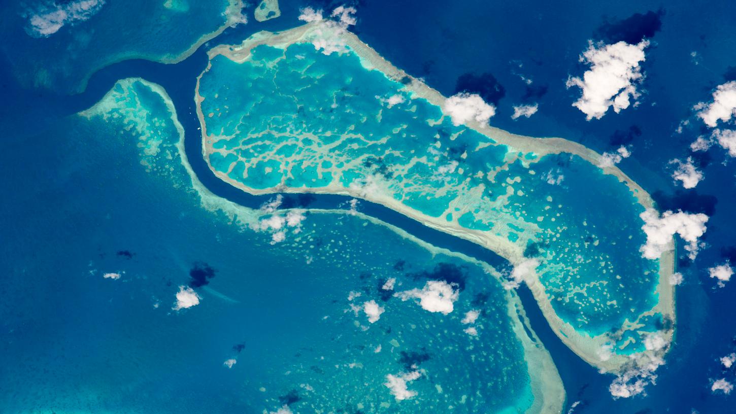 Great Barrier Reef: Australien bietet Millionen für die Rettung