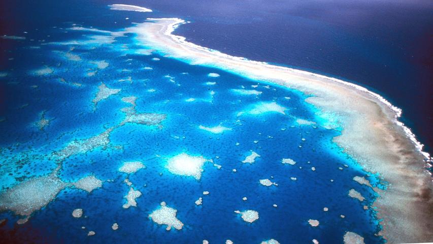 Tausende Riffe, Hunderte Inseln: Das Great Barrier Reef in Australien