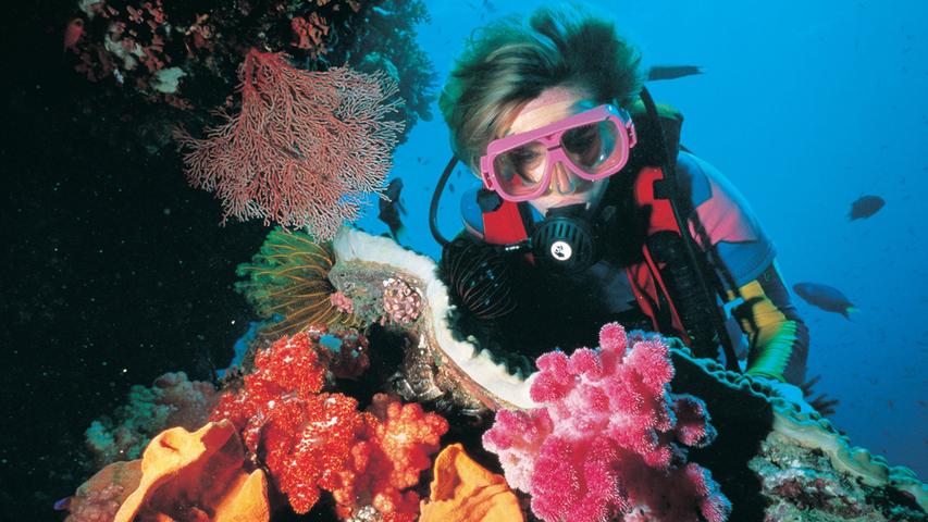 Das Great Barrier Reef in Queensland gilt als Taucherparadies.